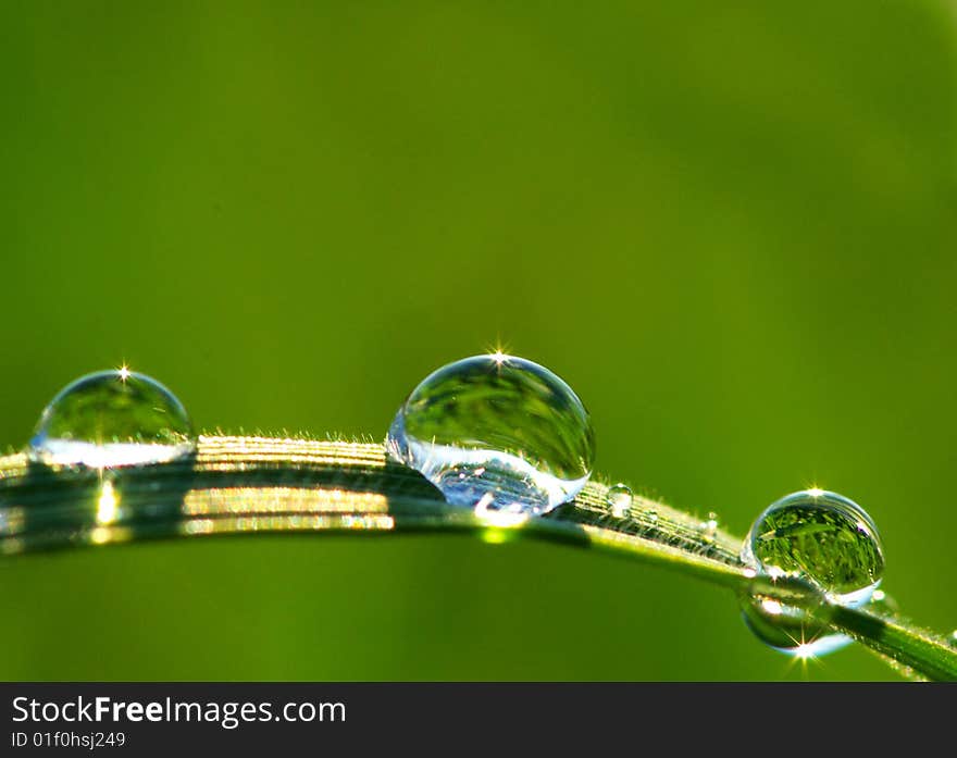 Dew drop on a blade of grass. Dew drop on a blade of grass