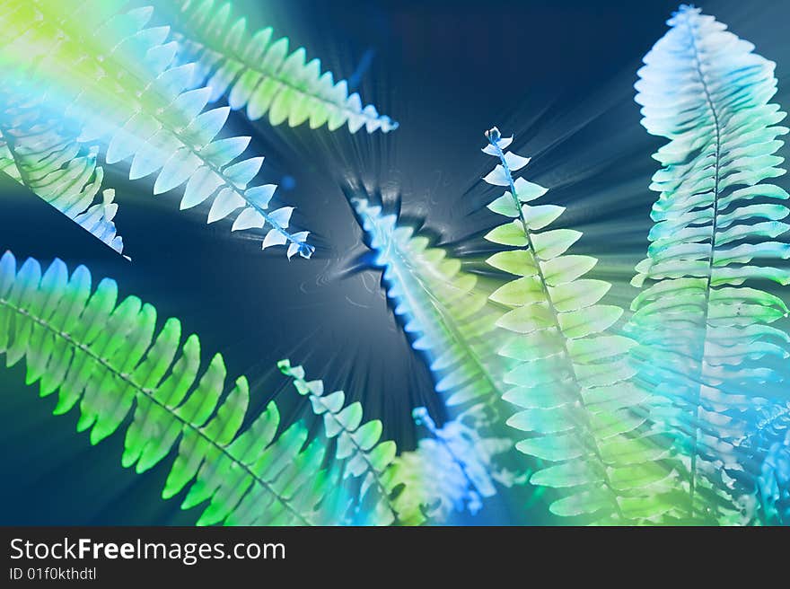 Background leaves light isolated on the black. Background leaves light isolated on the black