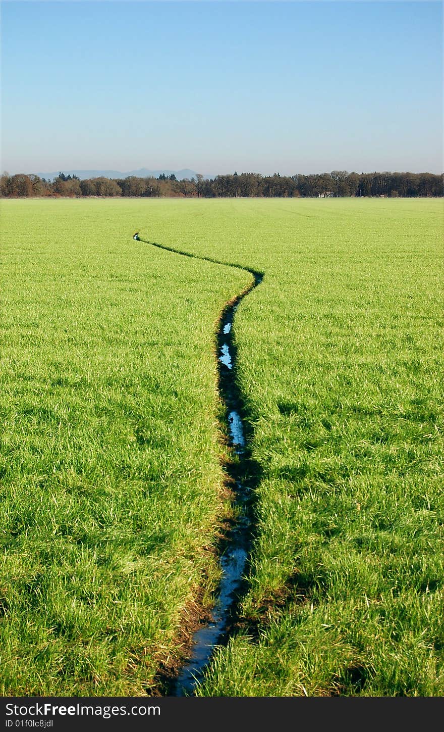 A narrow stream going through a grass field.