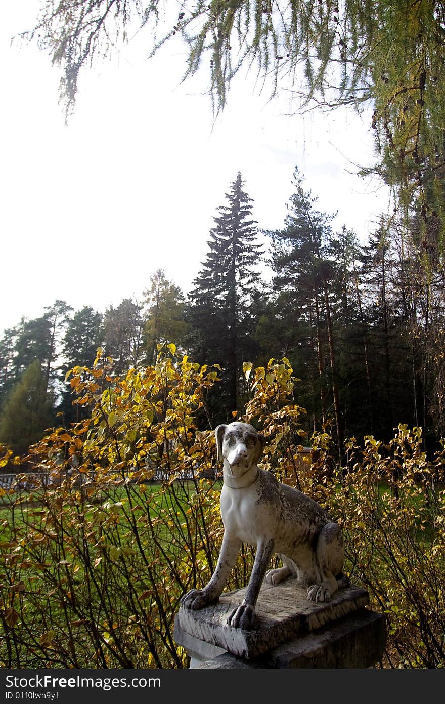 Marble dog