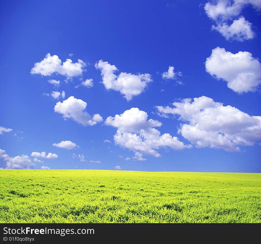 Field on a background of the blue sky