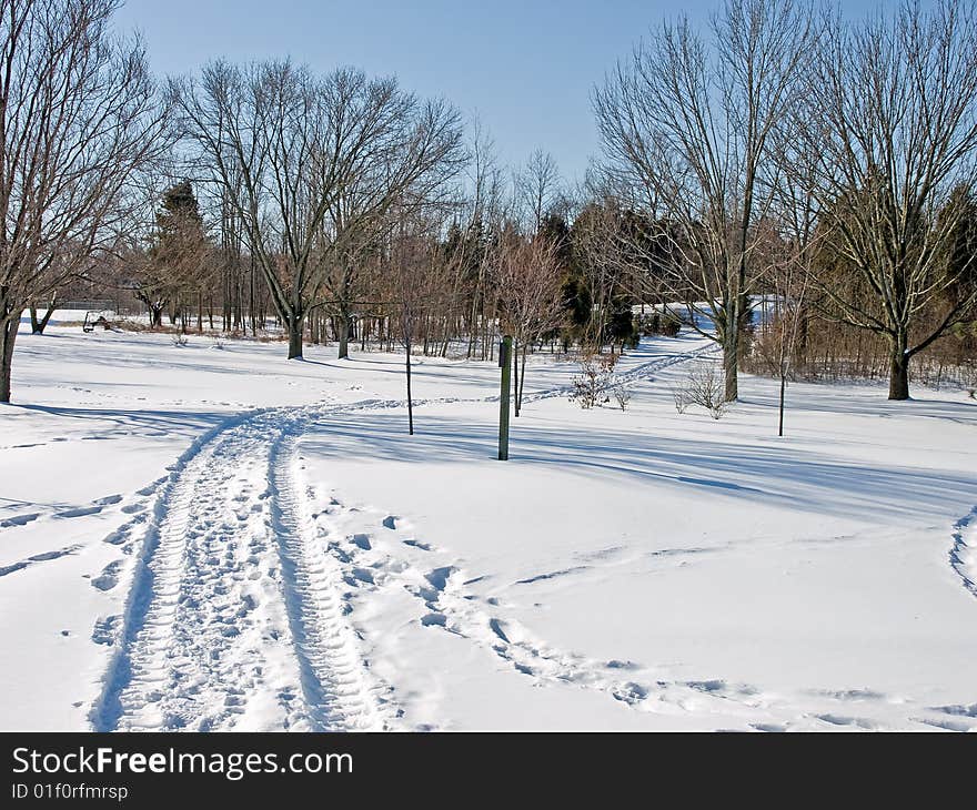 A set of snowy tracks