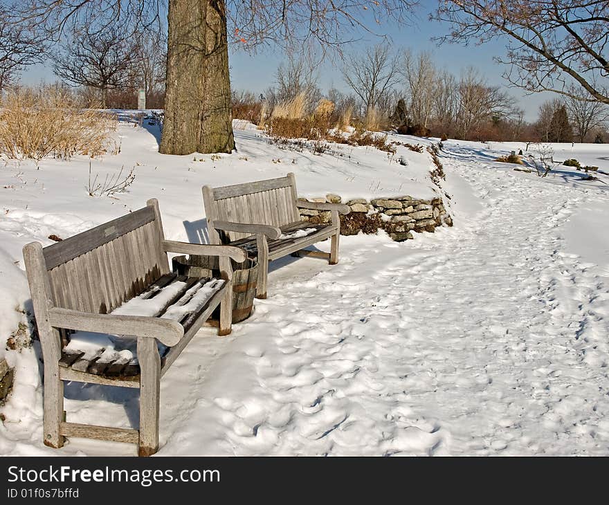 Snowy benches