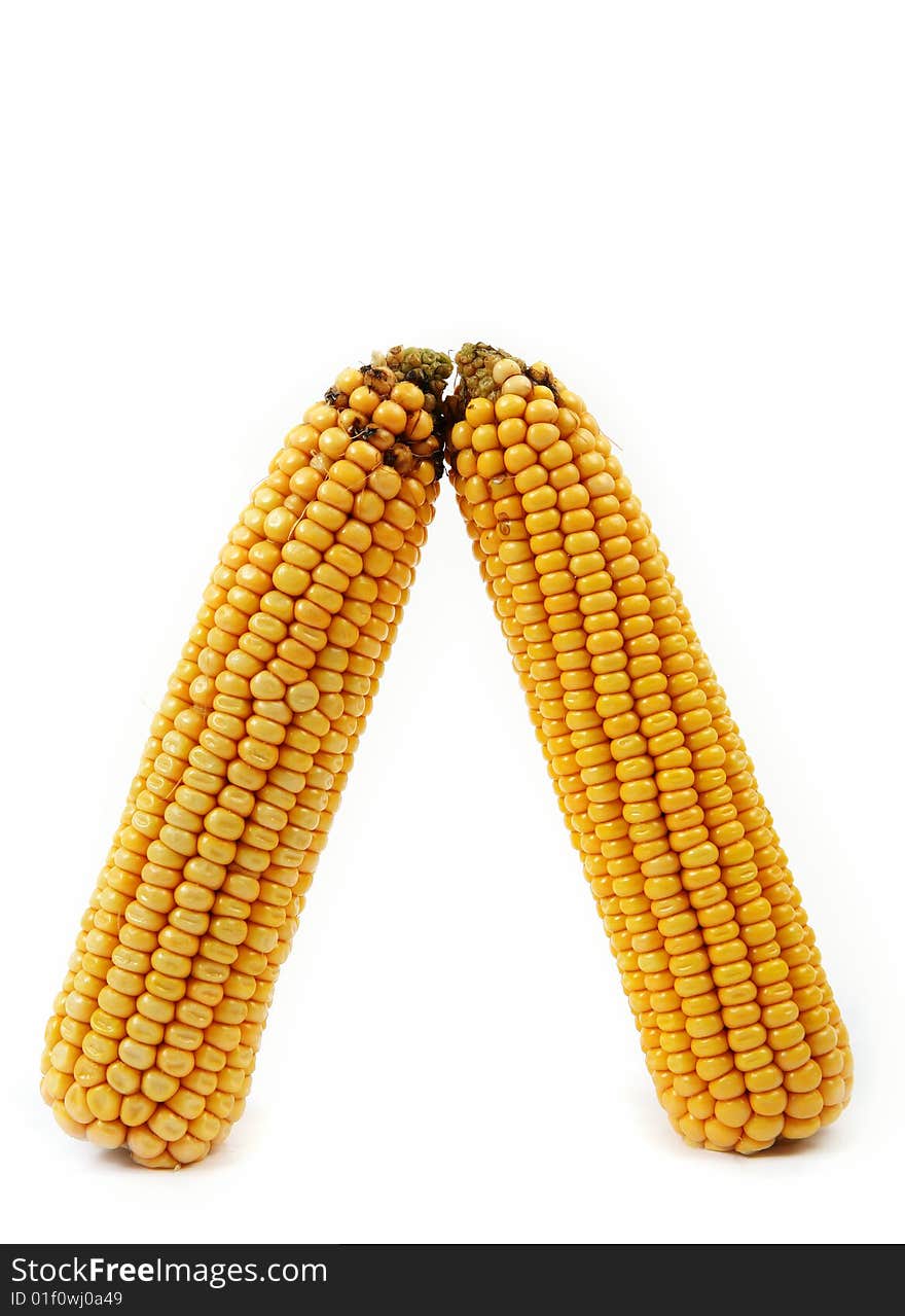 Close up of the corn cob