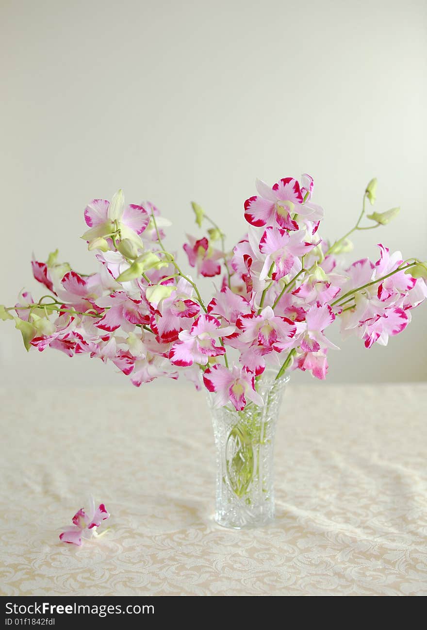 Pink orchids in a vase. Pink orchids in a vase