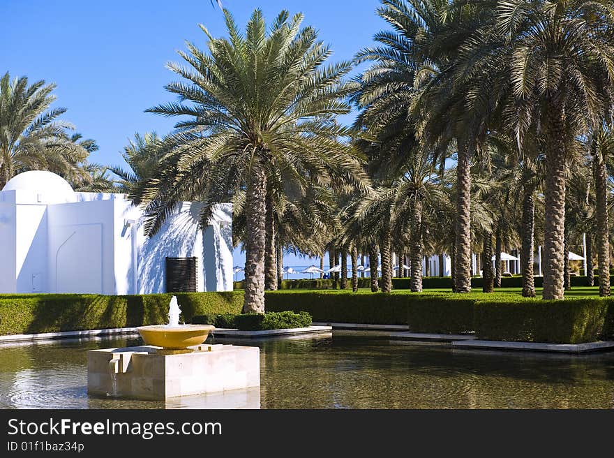 A lush garden with palm trees and water features. A lush garden with palm trees and water features.