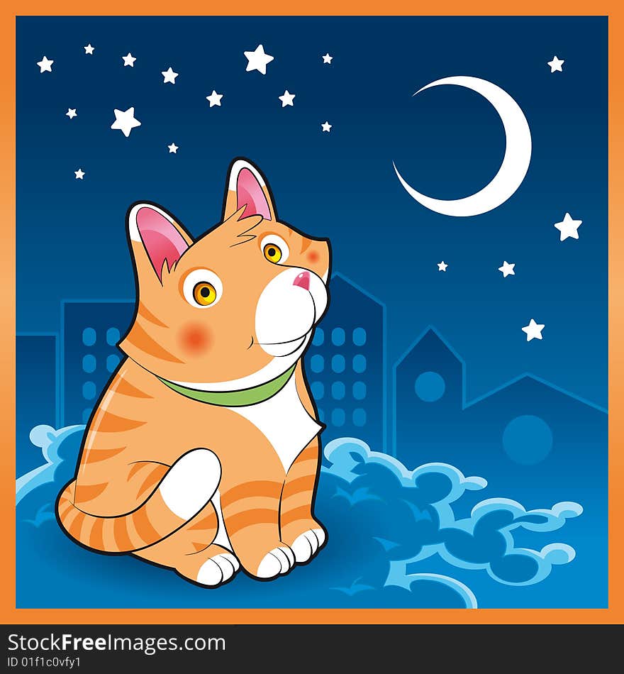 Baby cat in the night - vector illustration