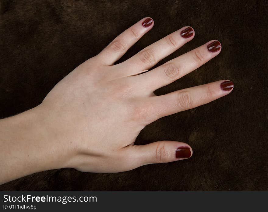 Woman hand on bear coat