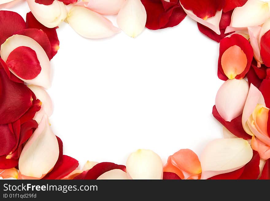 Frame Made With Petals