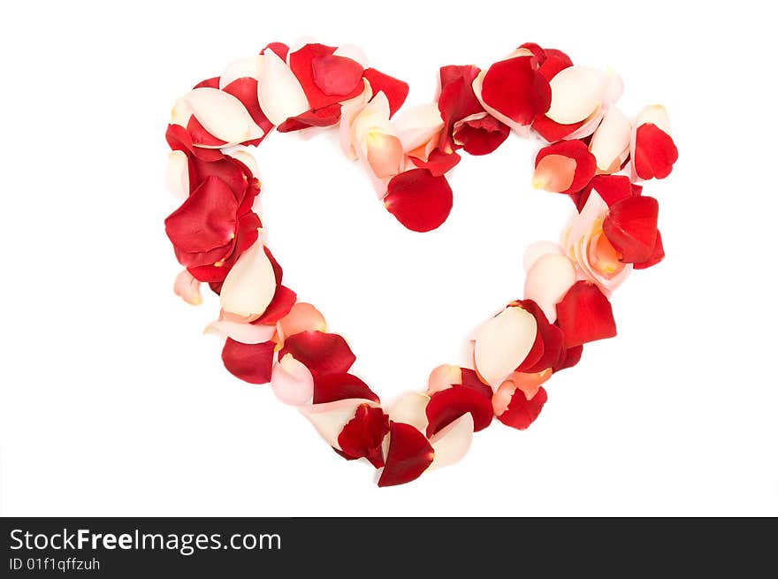 Heart made with petals on white background