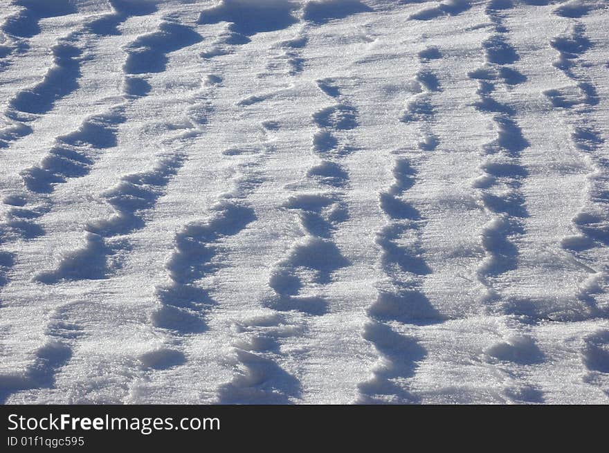 Snow Texture in a grass field