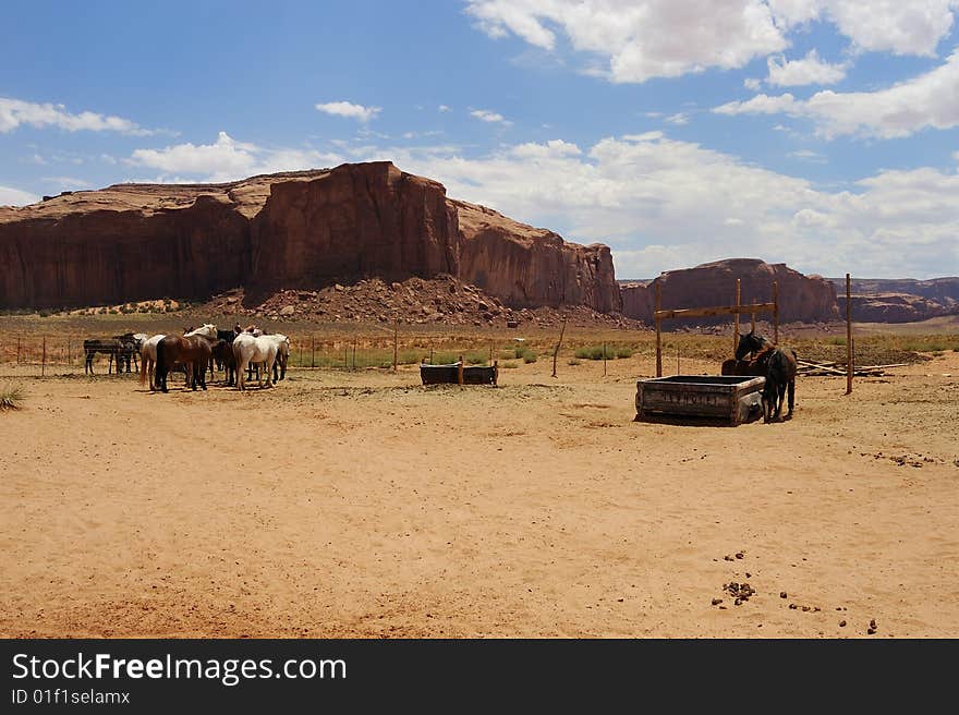 Horses resting in an enclosure near Monument Valley. Horses resting in an enclosure near Monument Valley