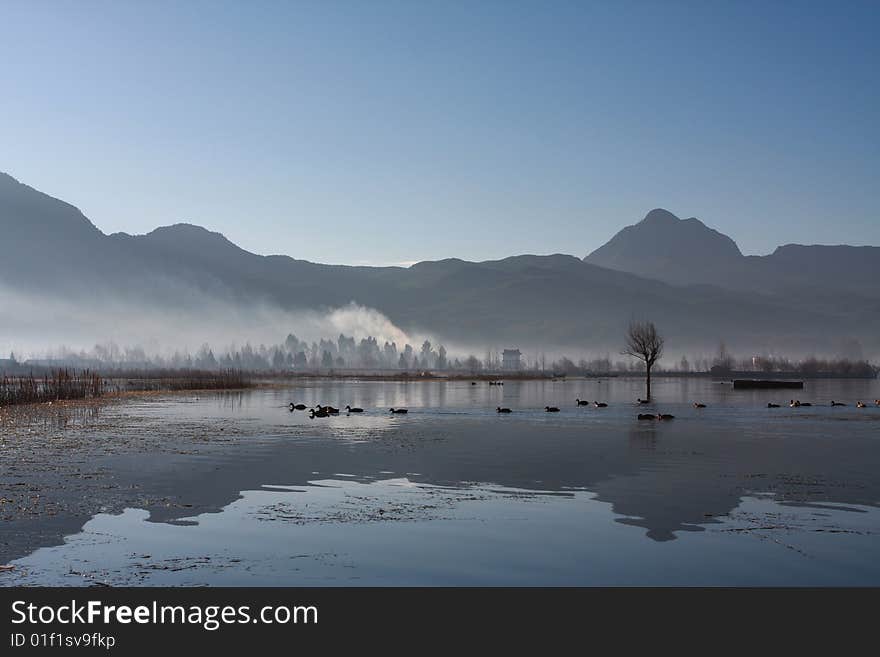 The picture was taken on Lashi Lake, Yunnan China. The picture was taken on Lashi Lake, Yunnan China.