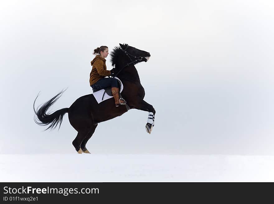 The girl is riding a horse. The girl is riding a horse