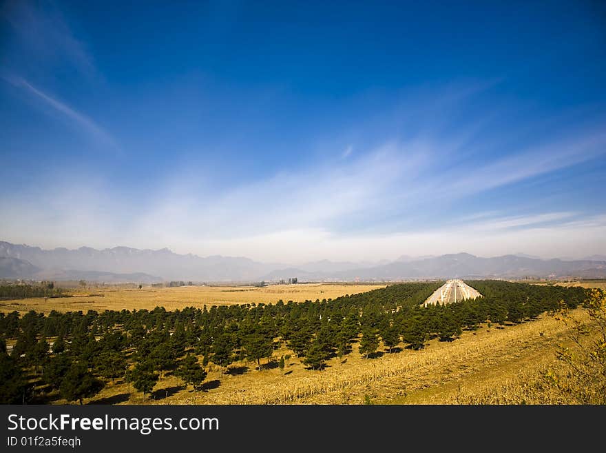 A long spirit path,the qing east tombs.