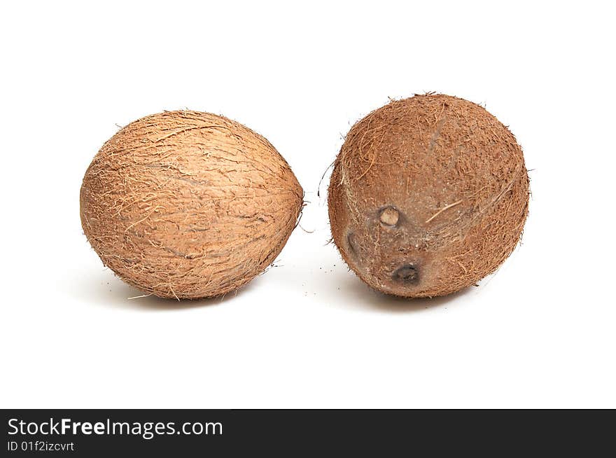 Two coconuts on a white backfround.