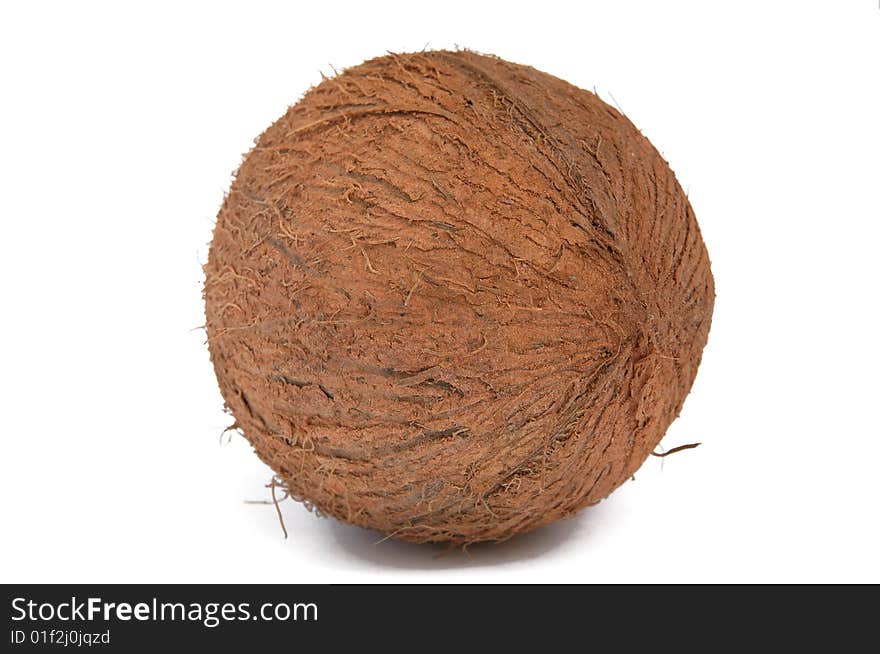 One coconut on a white background.