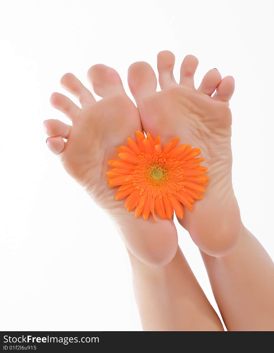 Female a foot keep an orange flower. Female a foot keep an orange flower