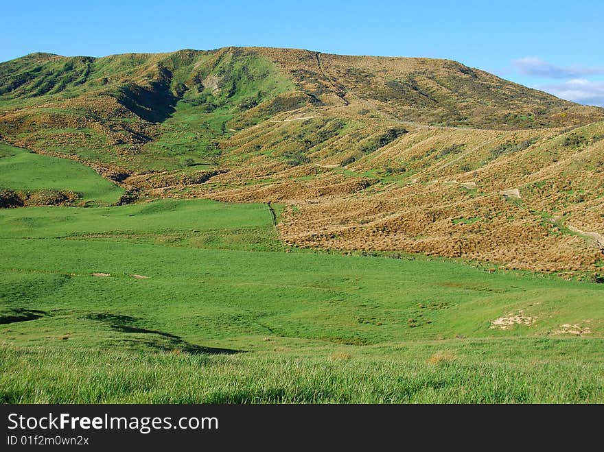 Grassland And Hill