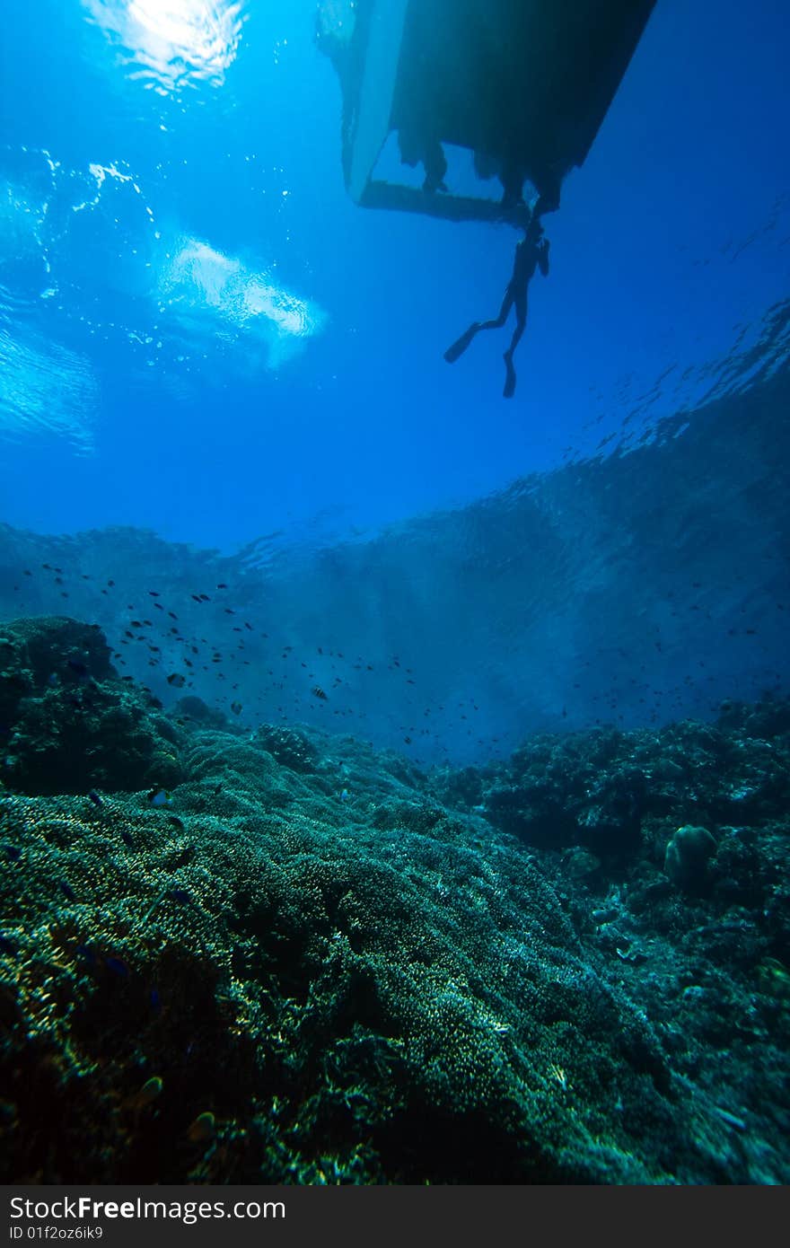 Free divers hanging off small Indonesian boat