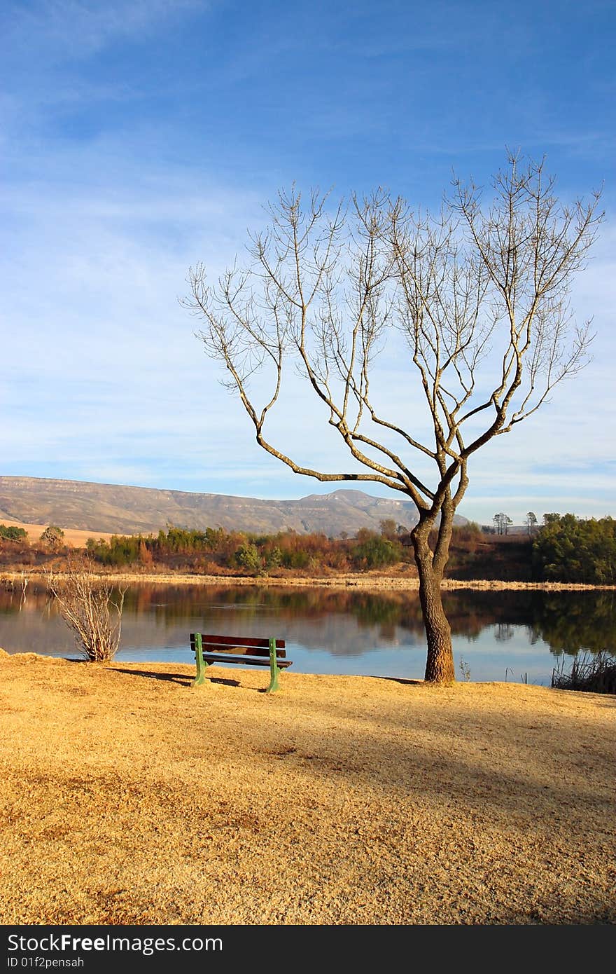 Tree overlooking rural dam in the White Mountain area of the Drakensberg Mountains. Tree overlooking rural dam in the White Mountain area of the Drakensberg Mountains