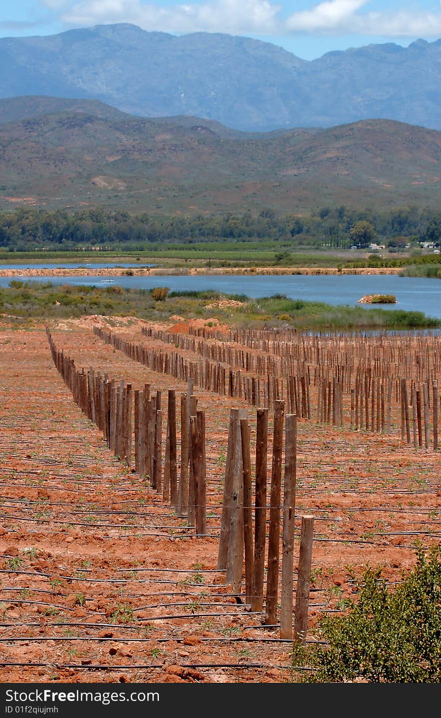 Farmland in Robertson, South Africa