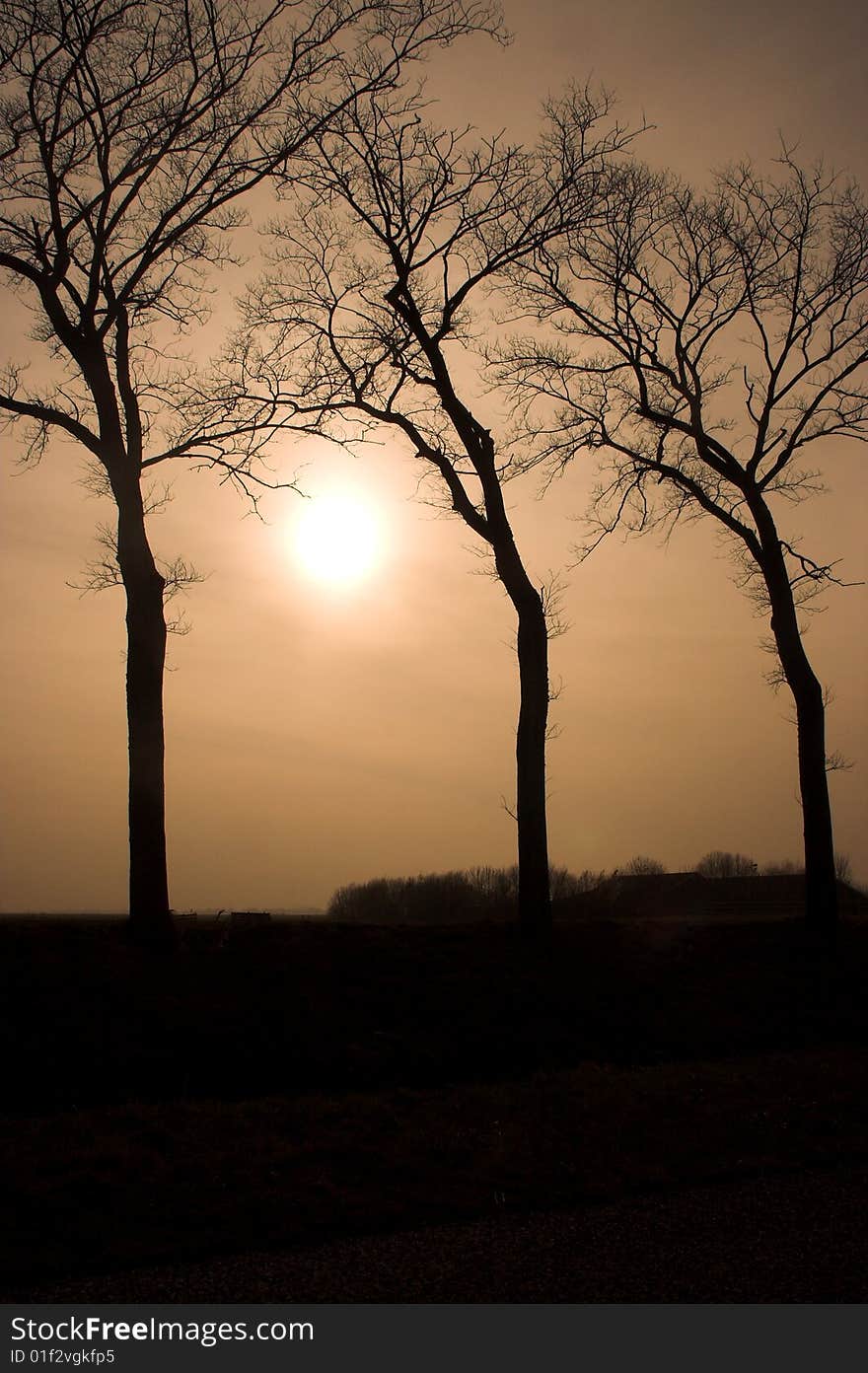 Mysterious misty landscape with the sun in the background. Mysterious misty landscape with the sun in the background.