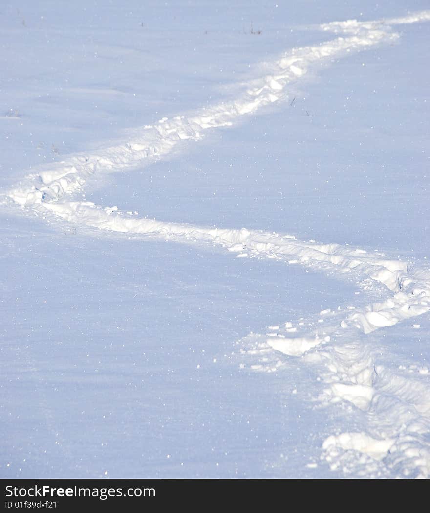 Winter path ine the sunny day