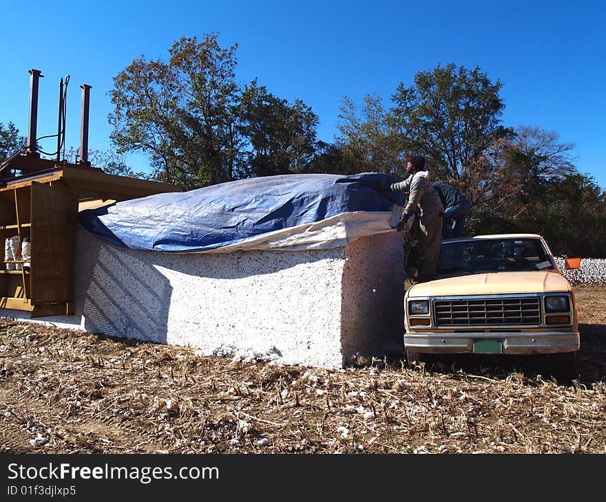 Covering the Cotton Module