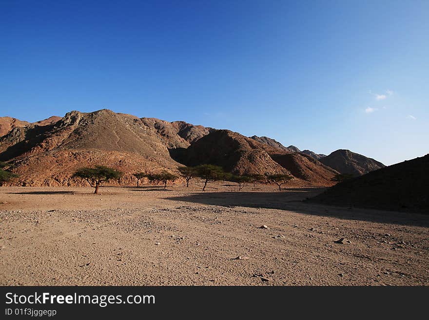 Dry wadi in the Egyptian desert. Dry wadi in the Egyptian desert