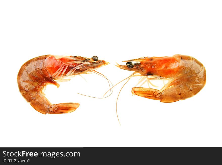 Two crevettes