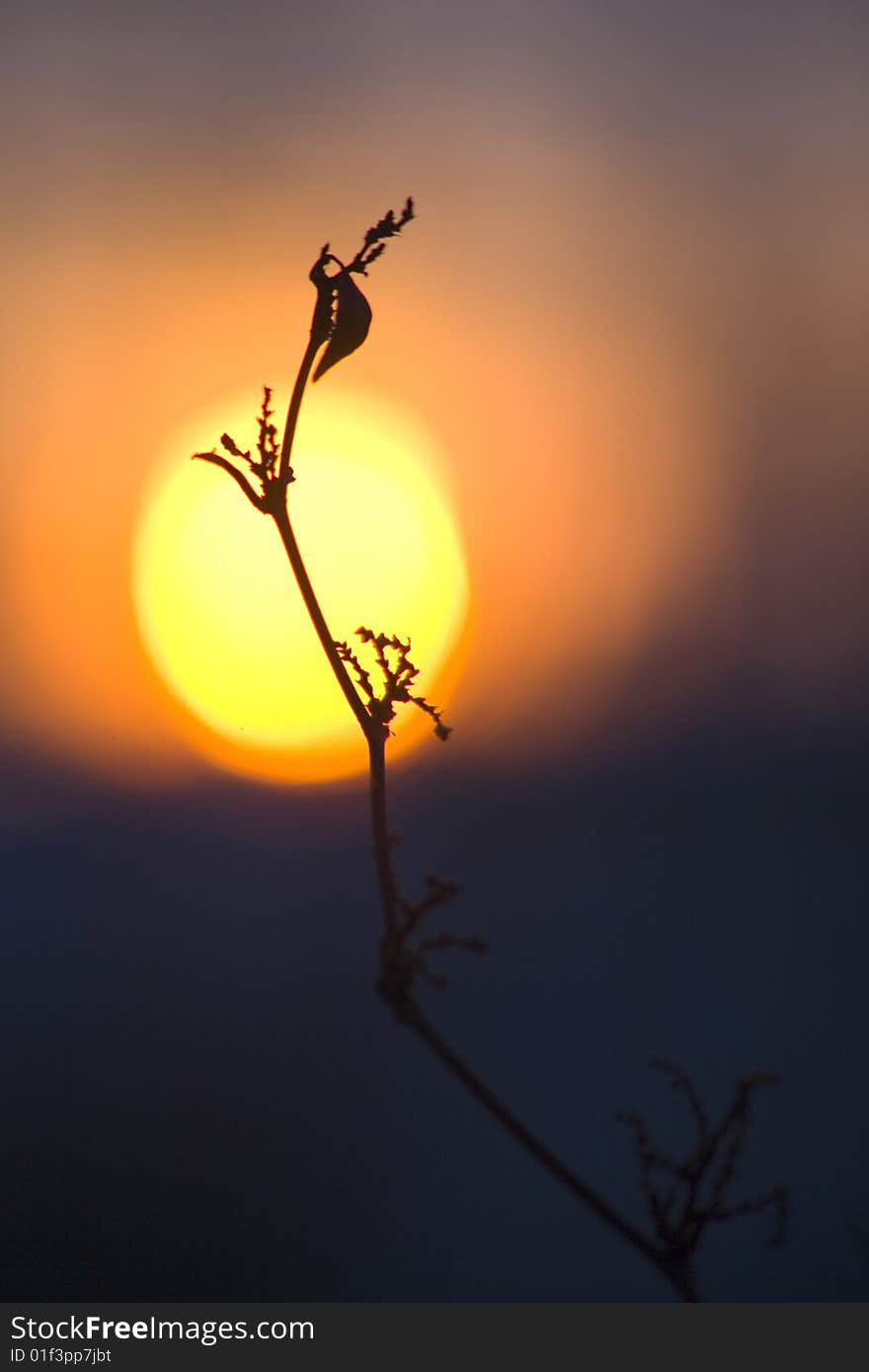 Sun setting behind abstract silhouette. Sun setting behind abstract silhouette