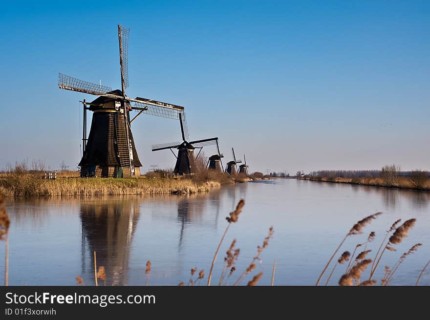 Beautiful windmill landscape at kinderdijk