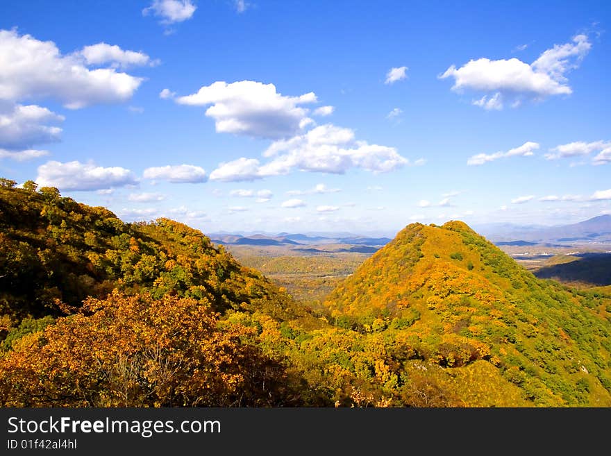 Autumn gold landscape