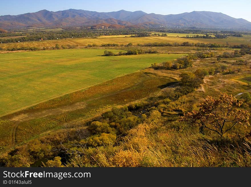 Autumn gold landscape