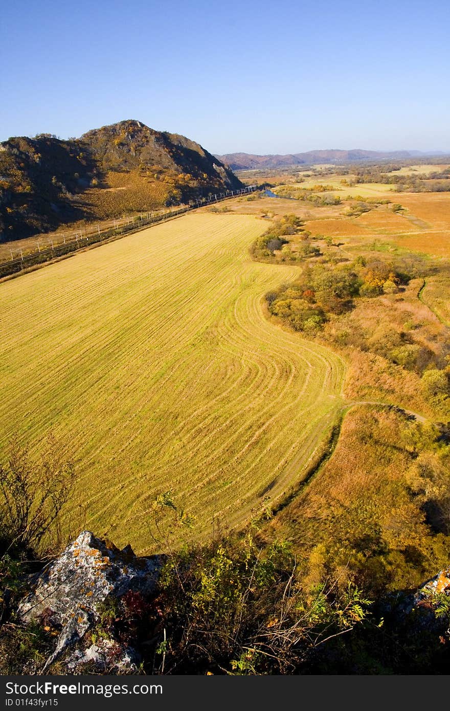 Autumn Gold Landscape