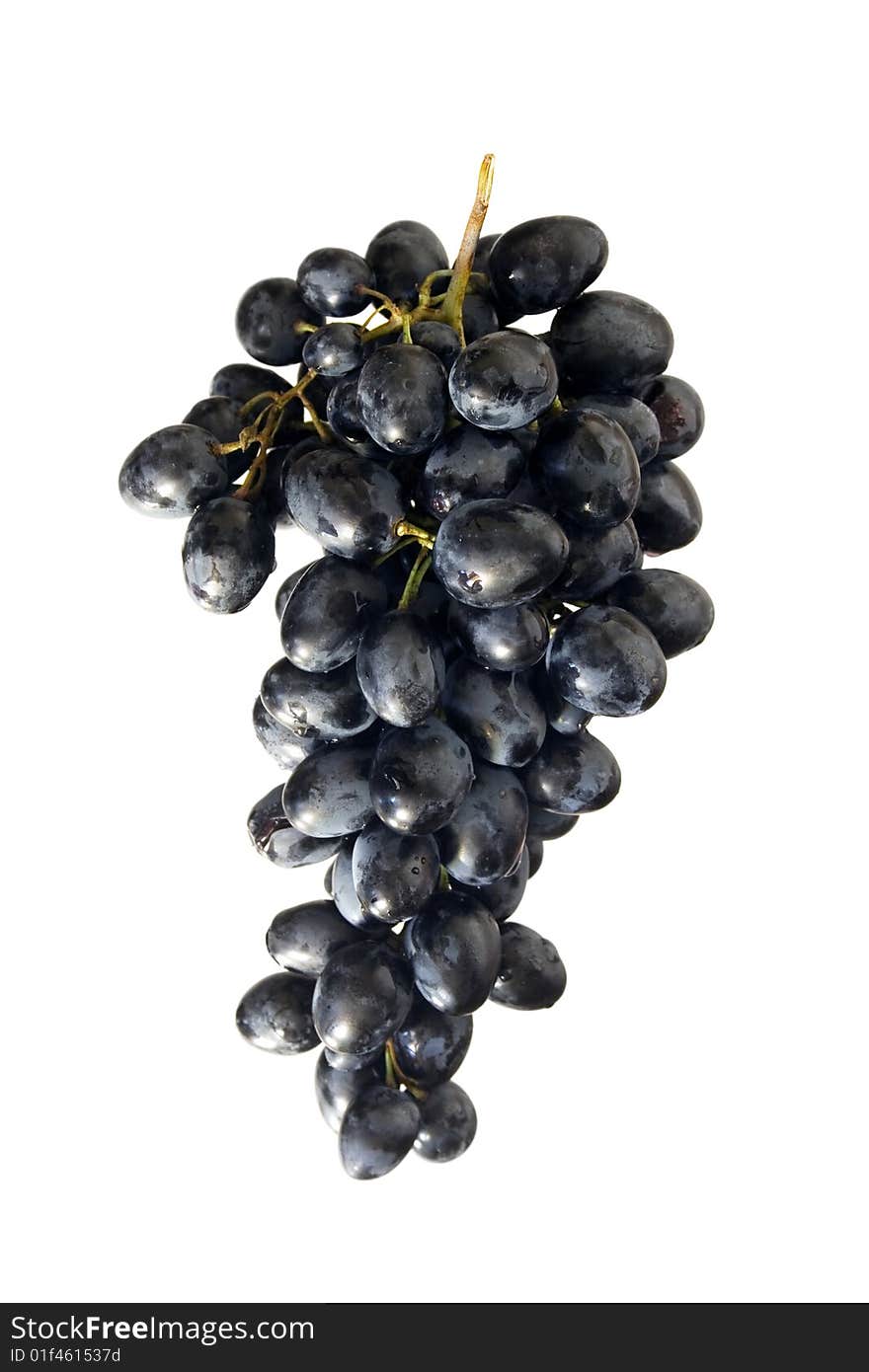 Clusters of blue grape