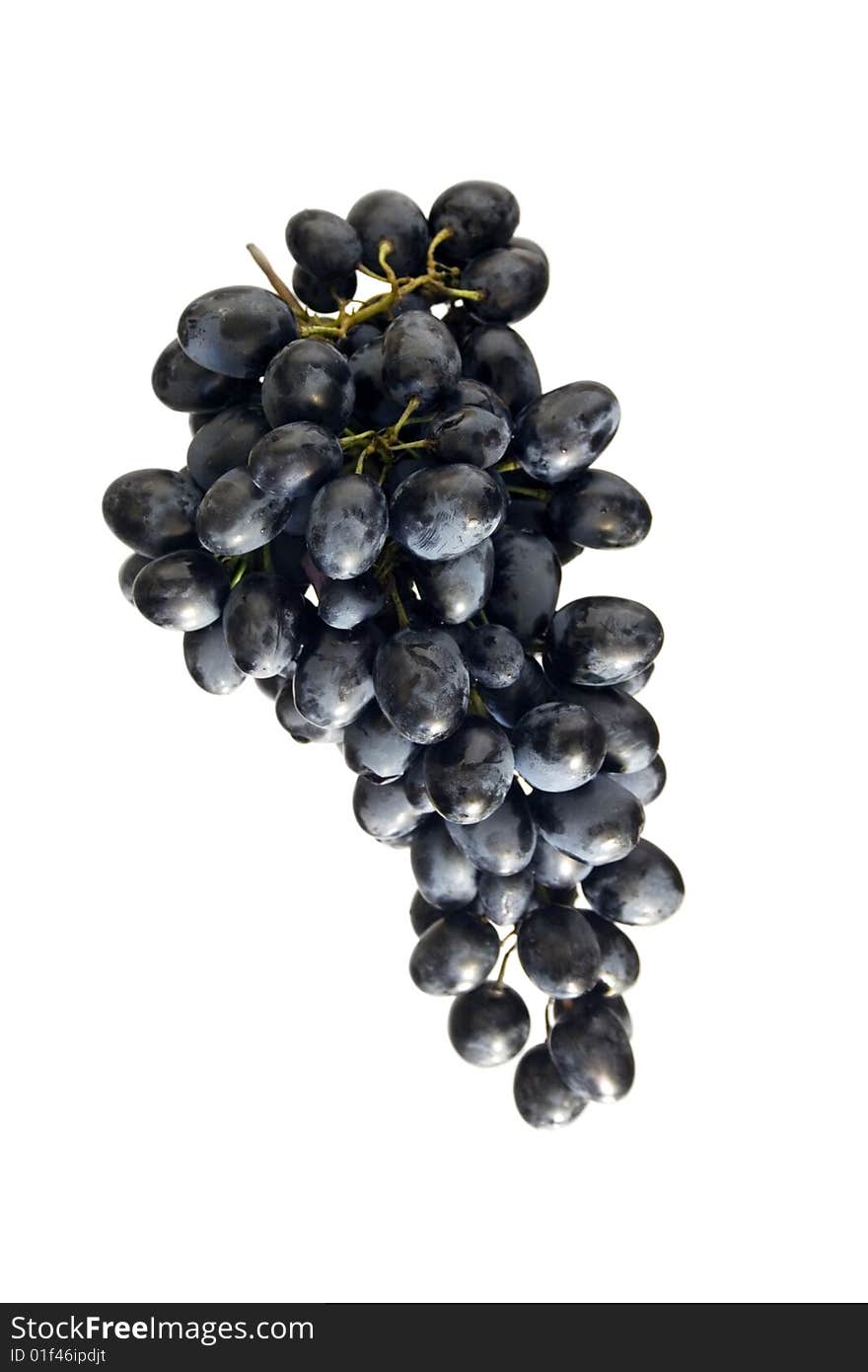 Clusters of blue grape