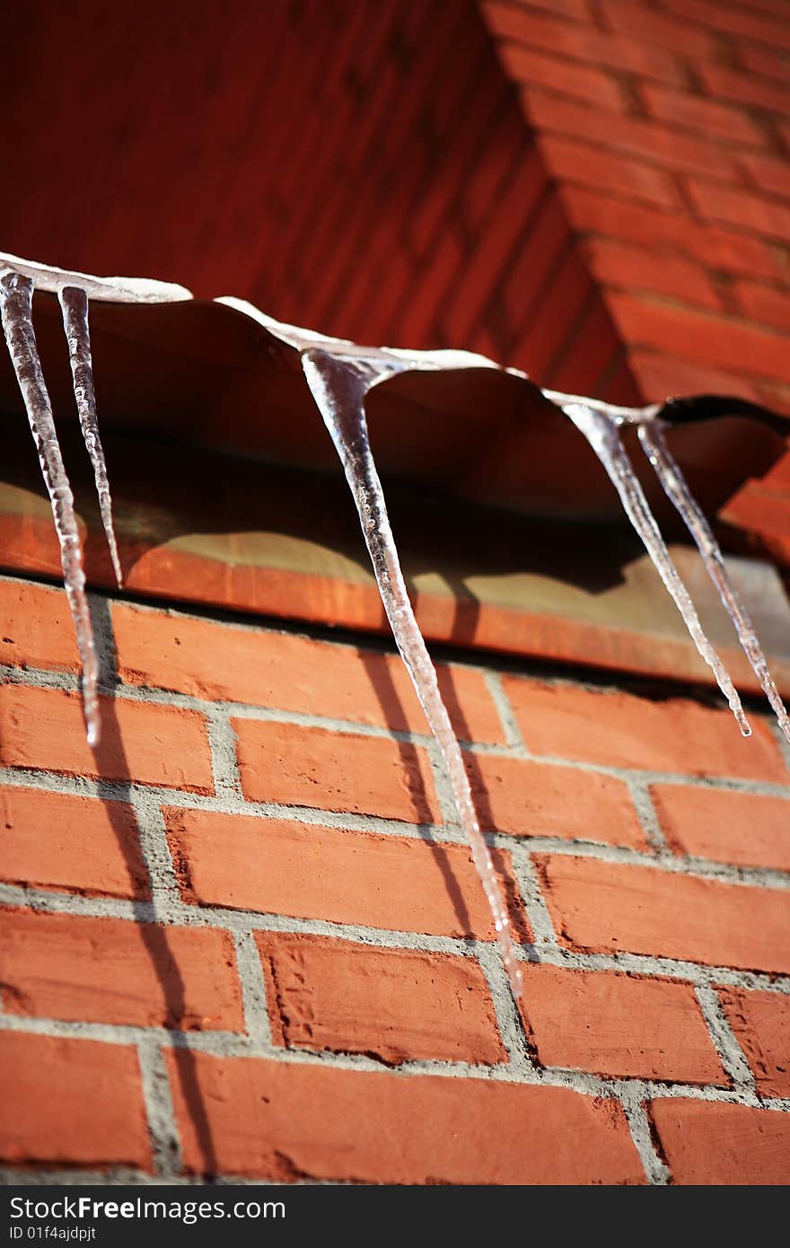 Hanging icicles. very cold winter