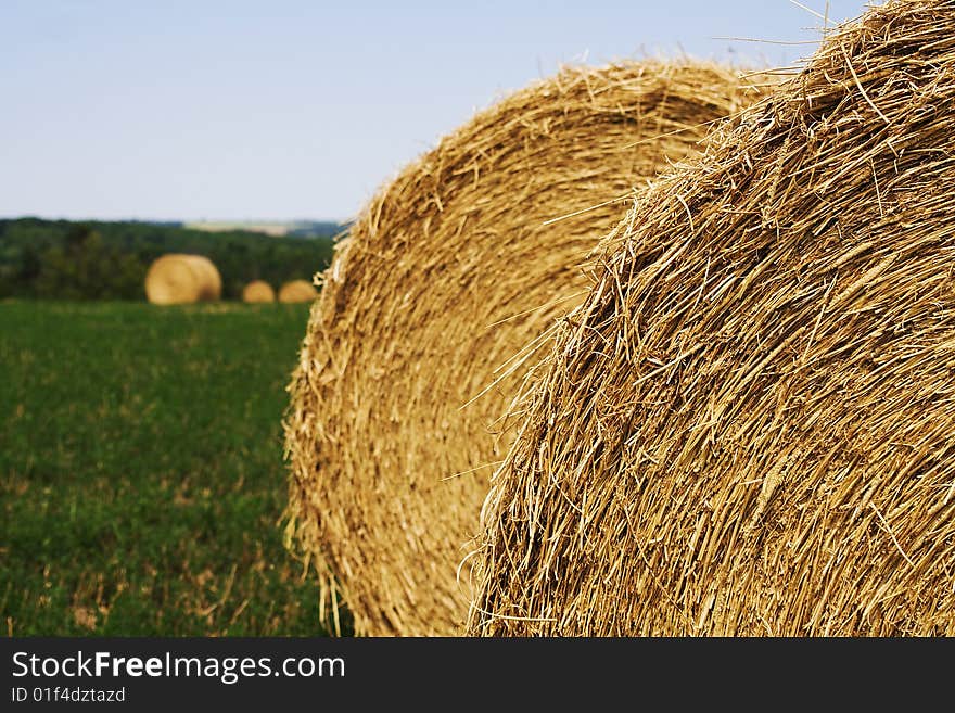 A country field of hay bales.
