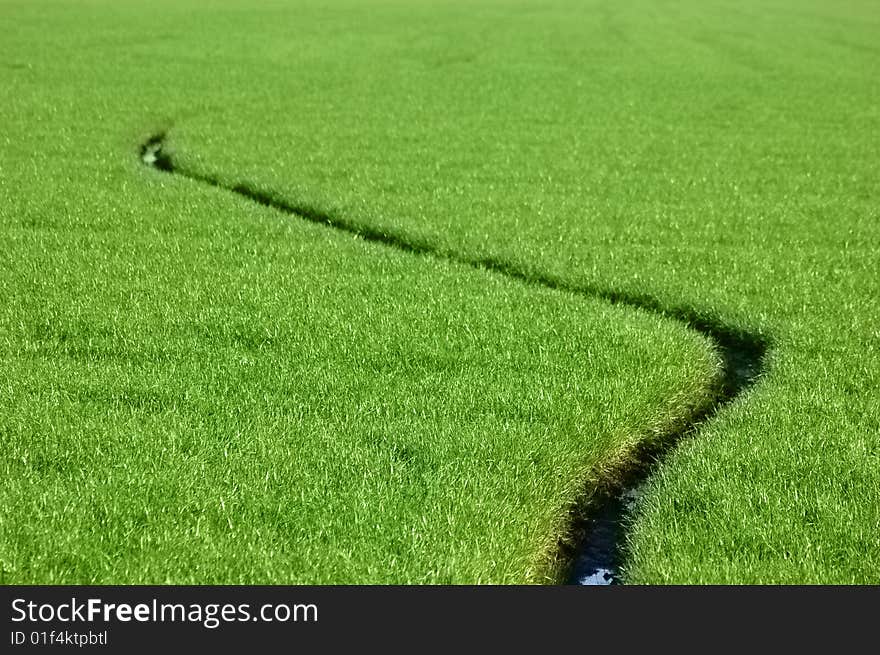 A narrow stream going through a grass field. A narrow stream going through a grass field.