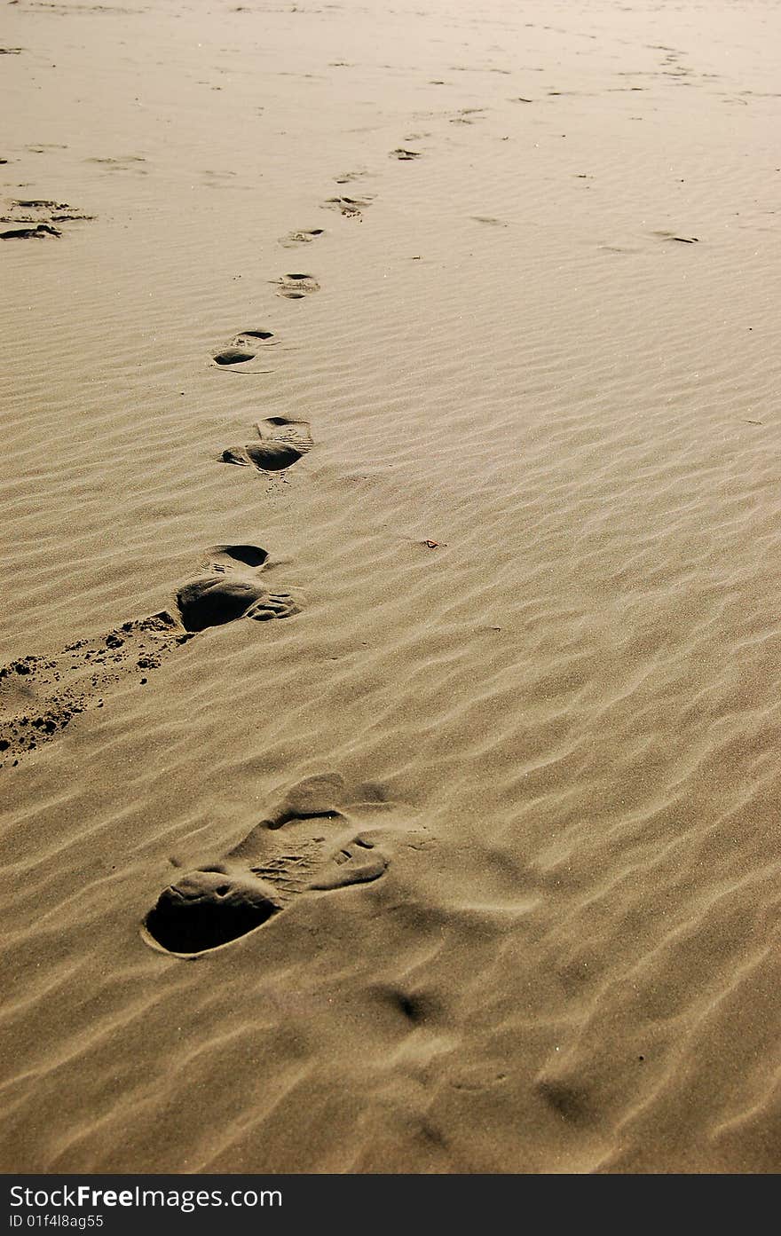 Footsteps imprinted into the sandy beach. Footsteps imprinted into the sandy beach.