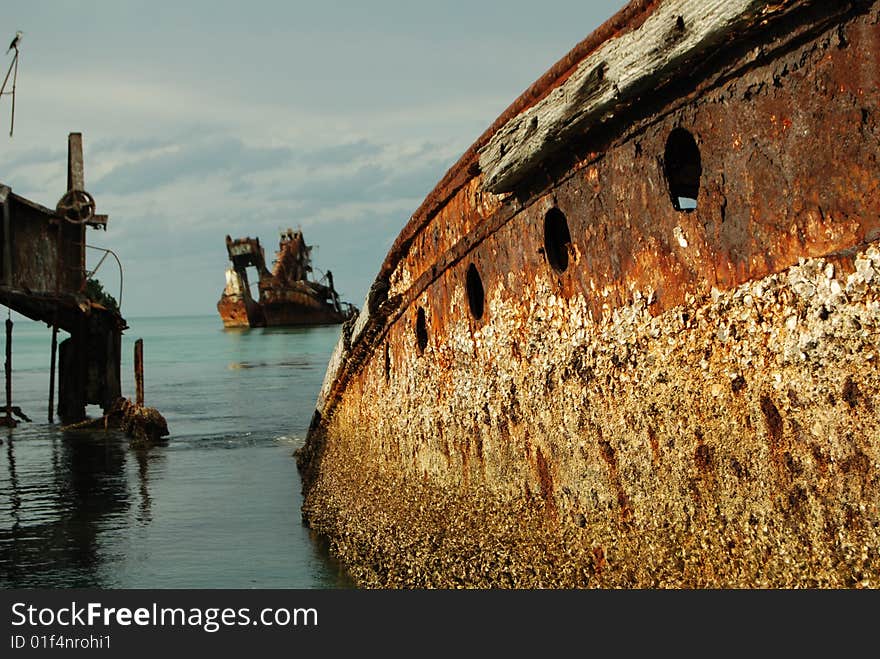 Detail shot of Shipwrecks/ artificial reef. Detail shot of Shipwrecks/ artificial reef