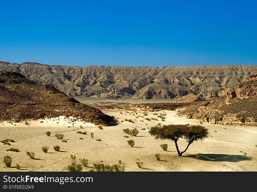 Dry desert in red sea region, sinai, egypt