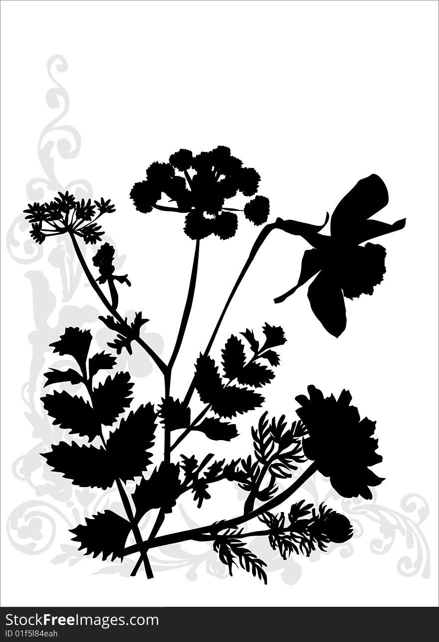 Illustration with black flower decoration on white. Illustration with black flower decoration on white