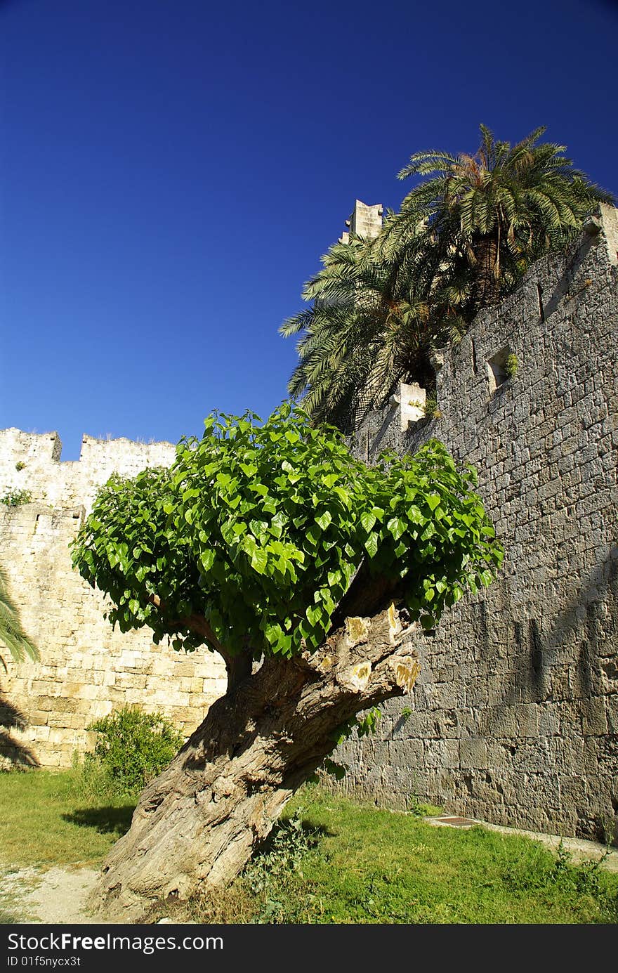 Old Town Wall