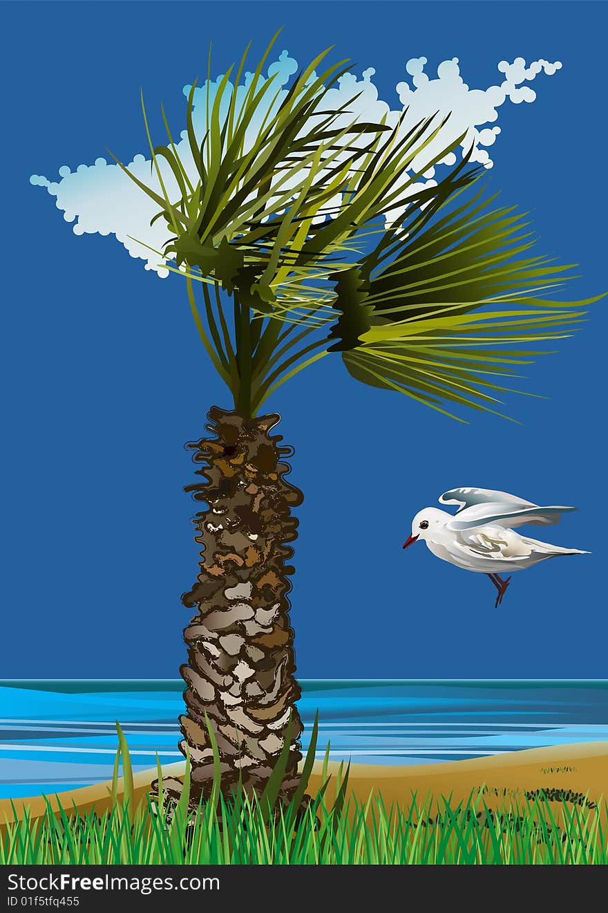 Seagull and Palm on the Sea-Vector Illustration