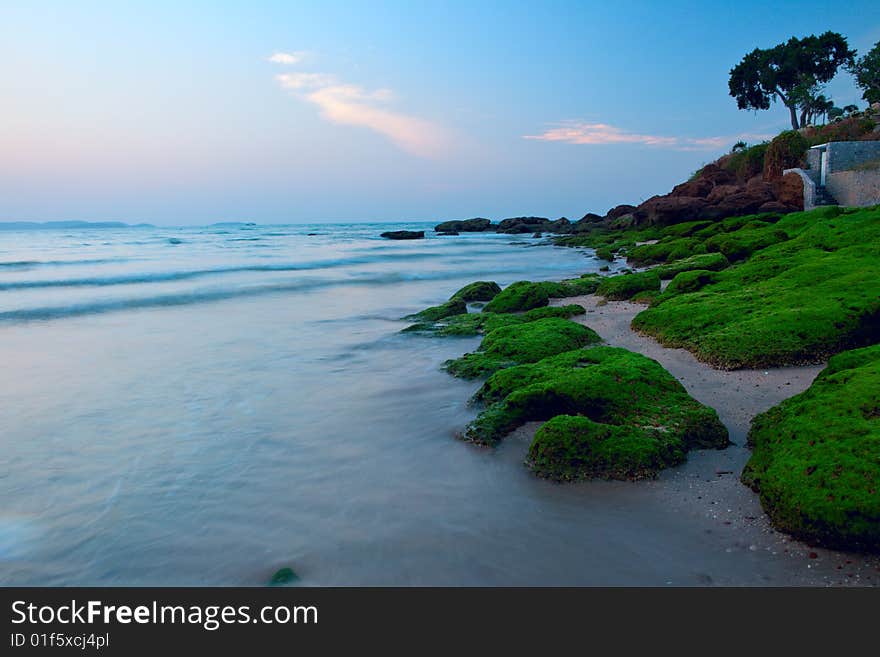 Gentle seascape