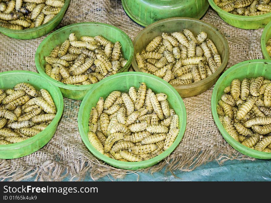 Sale of edible larvae, India