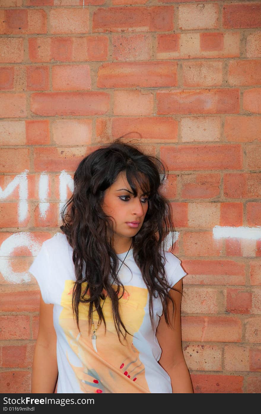 A beautiful young Asian woman against a red brick wall. A beautiful young Asian woman against a red brick wall.